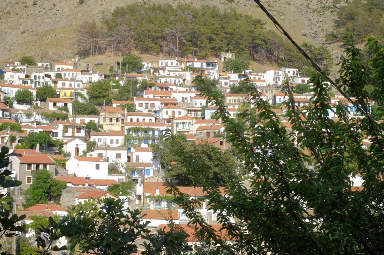 Villa Aleka Самотраки Экстерьер фото